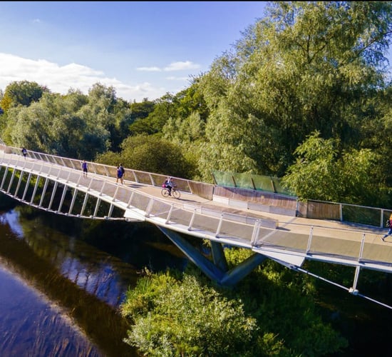 UL confirms withdrawal of vet school bid amid cost concerns