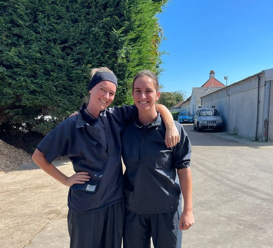 Best friends and Irish vets shed light on idyllic Jersey life