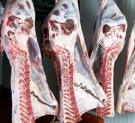 Rabobank: Uncertainty for global beef markets