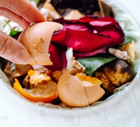 NGOs warn inaction on food waste is 'feeding climate change'