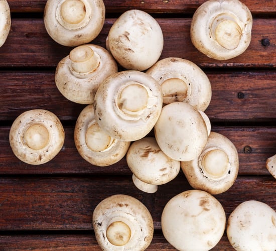 Research officer sought to support commercial mushroom sector