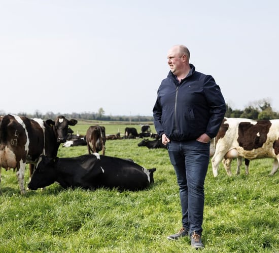 New Zealand dairy tech show to take place on Tipperary farm