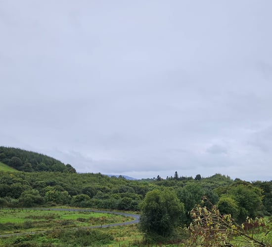 Land seized in Clare after investigation into organised criminal gang