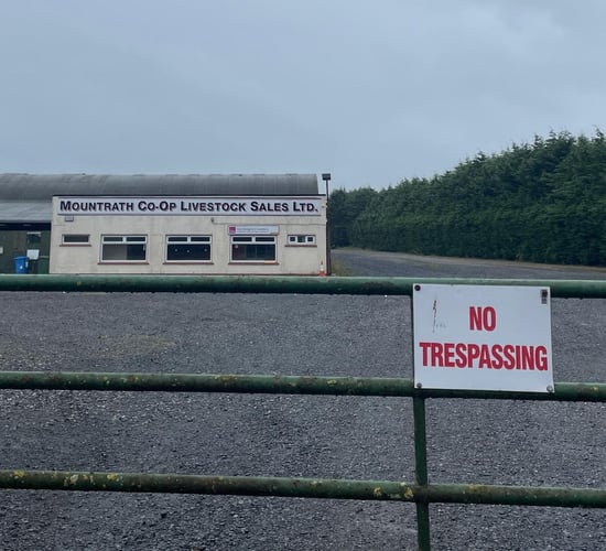 Bid to re-open Mountrath Mart ongoing despite 'bad attendance' at AGM