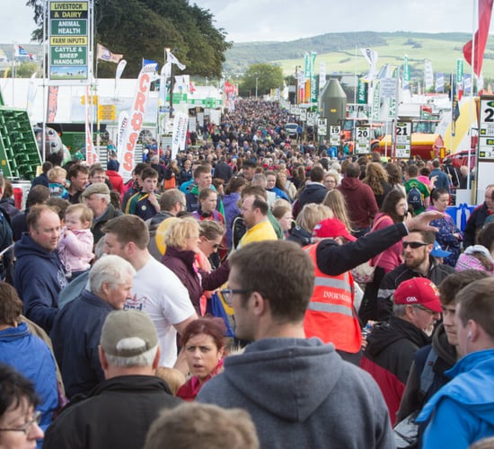 AIB: Ploughing 2024 drove the biggest spend for tourism this year