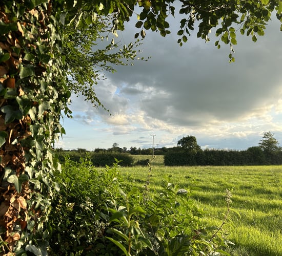 Farmers reminded that RZLT deadline is fast approaching