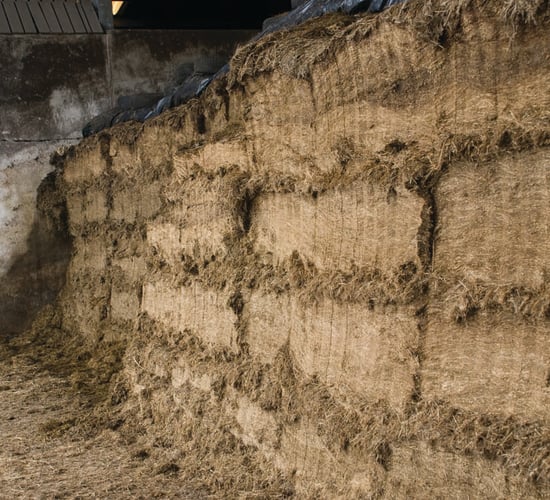 Mycotoxins in grass silage to be investigated by Agrisearch