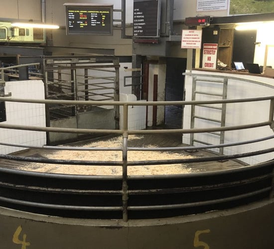 Reminder: Upcoming sales of interest to dairy and suckler farmers
