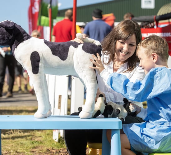 VCI welcomes 80 new places in veterinary medicine