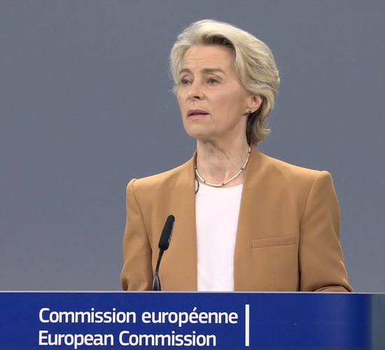 Von der Leyen receives final EU report on future of agriculture