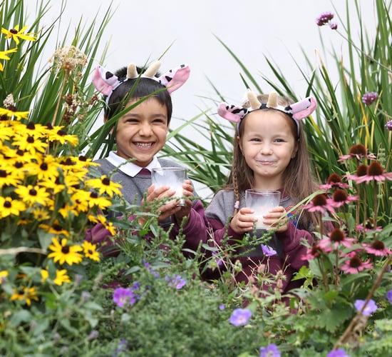 Schoolchildren nationwide celebrate World Milk Day
