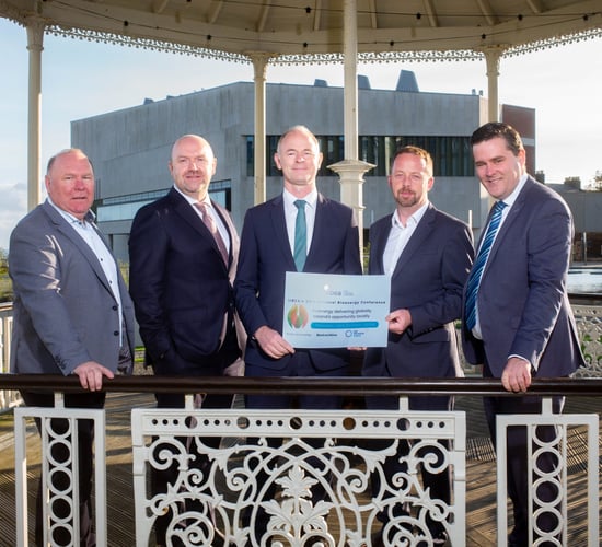 Need for action highlighted at IrBEA bioenergy conference