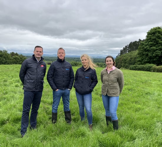 New regenerative farming project launched by Sysco and ABP