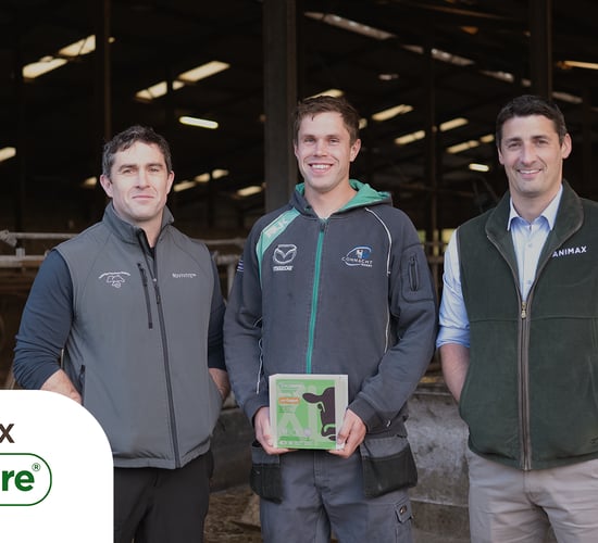 Watch: Proven fertility boost on Cork spring calving farm