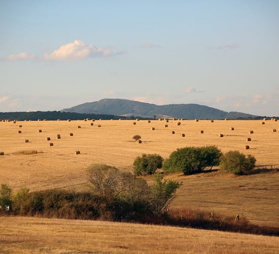 Bulgarian farmers to receive over €168m in EU support