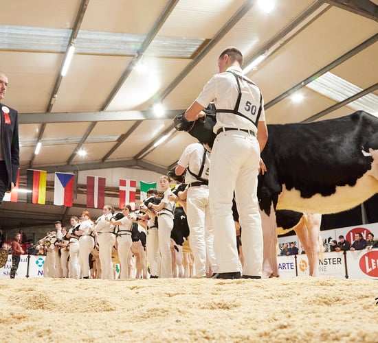 Competitors to travel length of country for AXA National Dairy Show