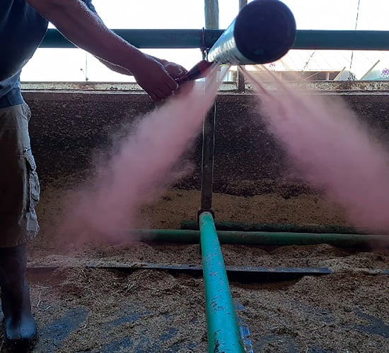 EuroTier launchpad for new technology to help dairy farmers