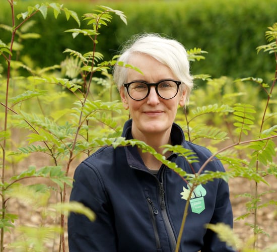 Documentary follows transformation from farm to forest in Roscommon
