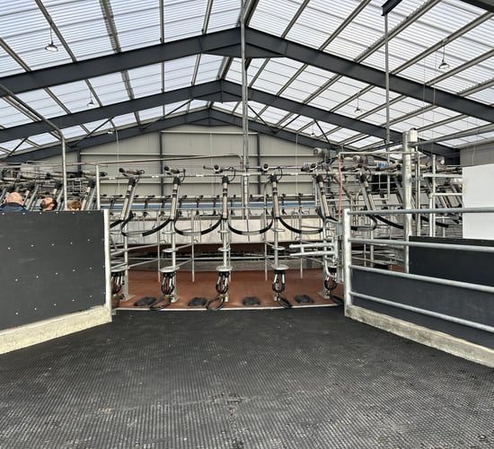 Dairy Focus: Milking 500 cows on two milking platforms