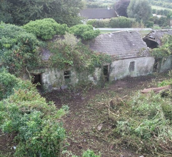 Dept intervenes in row over Magnier farm building demolition plans