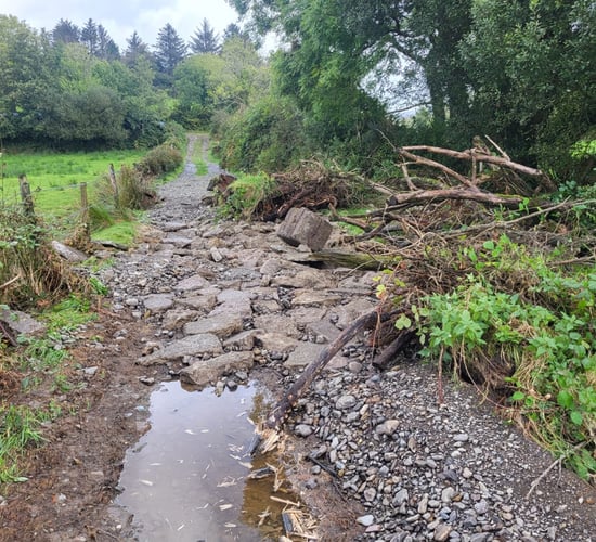Watch: Flooding leaves west Cork farmer counting the cost