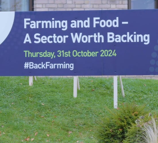 Watch: Mercosur and derogation key concerns at IFA conference