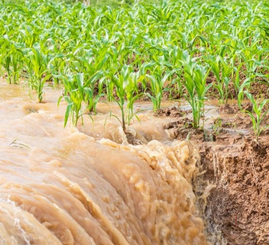 €1bn EU support for farmers affected by 'natural disaster' in Italy