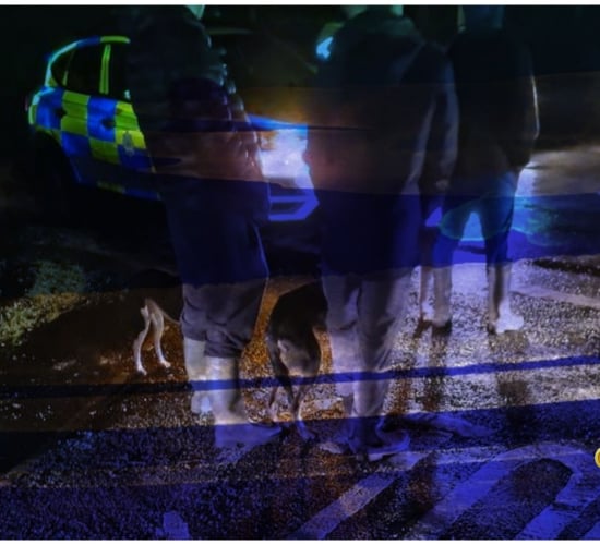 Gardaí detect men allegedly hunting hares on Kerry lands