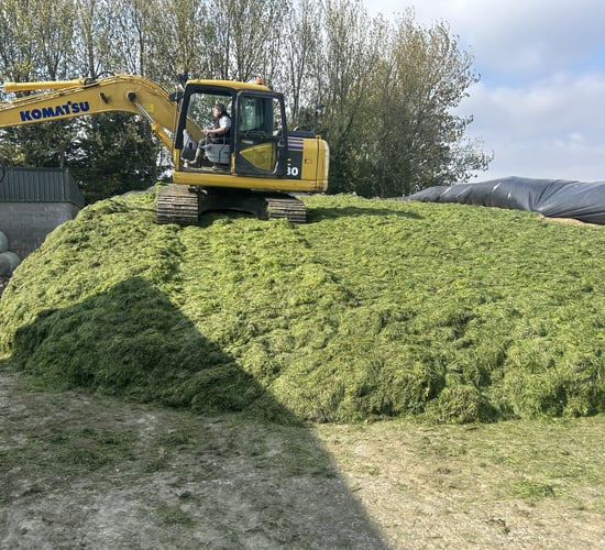 Time to test your silage for your winter milking herd