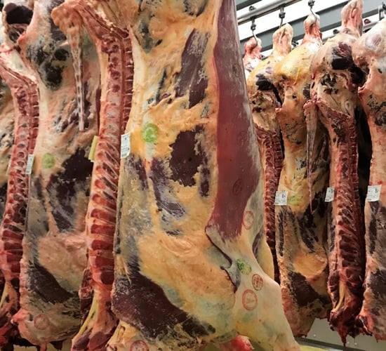 MII launches new charter for sustainable beef production