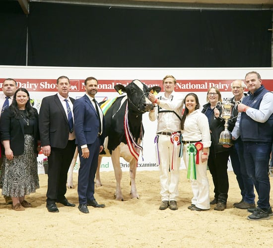 AXA National Dairy Show: Eedy Holsteins retains supreme title