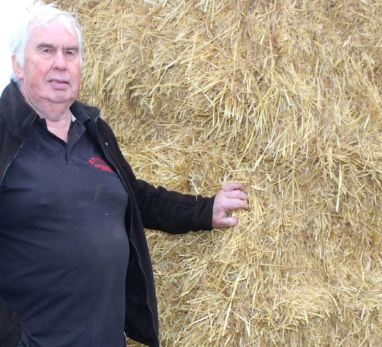 Importer: Straw and hay should be sold on a weight basis