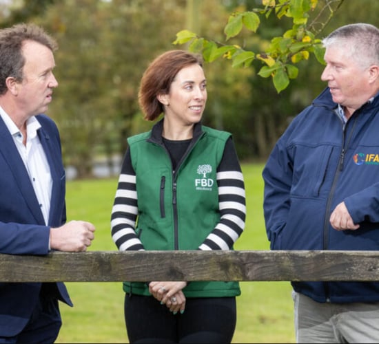 Paddy Fitzgerald Awards nominees announced