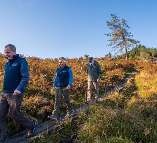 'Your parks, your say' consultation campaign launched