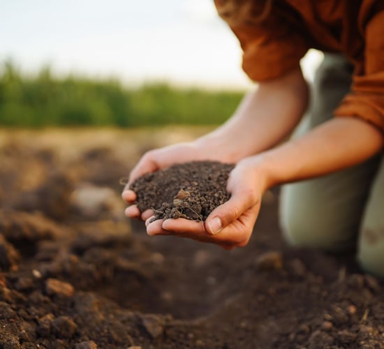 Report: The state of soils in Europe