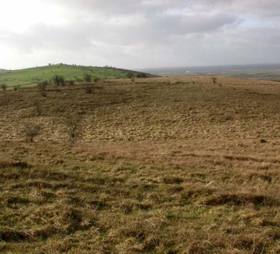 State to buy 165ac of Kilkenny farmland for new nature reserve