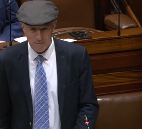 Healy-Rae: Real farmers 'do not sell land'