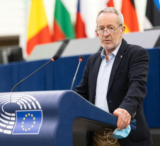 MEP: EU must remain 'global champion of fair and open trade'