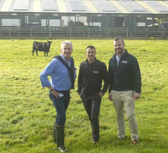 O’Leary invests €140,000 in solar panels at Gigginstown estate