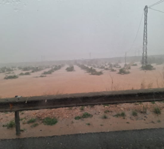 Spanish farmers facing 'catastrophic' losses after flash floods