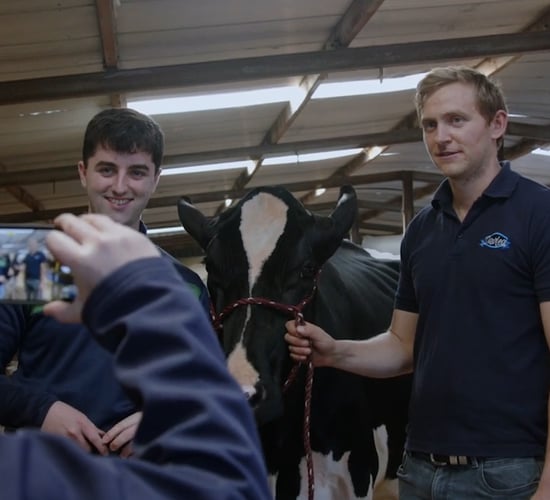 Watch: What to Expect at the AXA National Dairy Show 2024