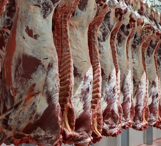 Beef kill: Heifer supply up 22,000 head as cow kill down