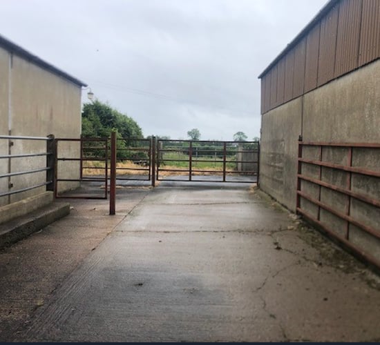 Budget 2025: Farmer 'income volatility' measure under discussion