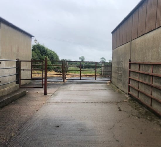 ICMSA: Suspend proposed changes to Agricultural Relief