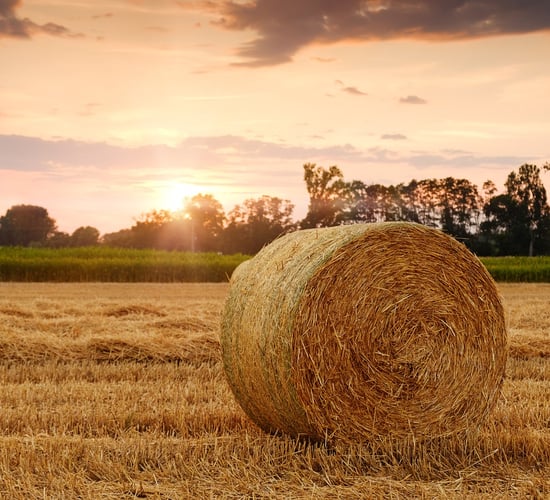 Met Éireann: Last month was the coldest September in 6 years