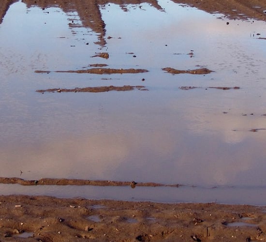 Minister: Payments 'not commenced' to farmers impacted by Cooley flooding