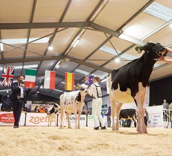 Watch: Dreams come to fruition at the AXA National Dairy Show