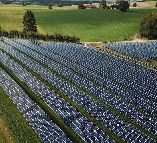 Many believe solar farms 'contributing' to TB increase - TD tells Dáil