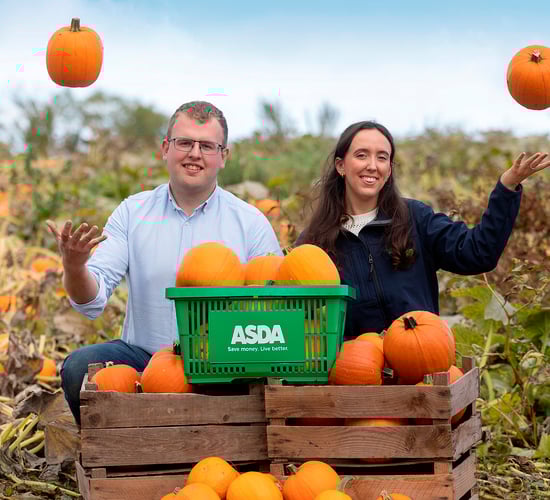 Growing pumpkins for the Halloween market in Armagh