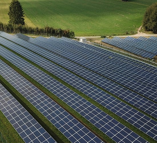 East Cork farmers 'selling dairy farms' for solar development - TD